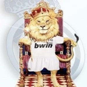 Meet your Posher, Miguel angel